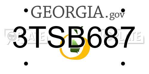 3TSB687 Georgia License Plate