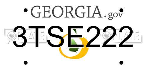 3TSE222 Georgia License Plate
