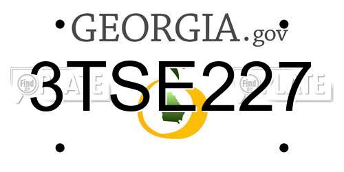 3TSE227 Georgia License Plate