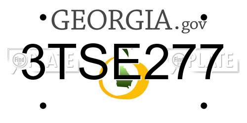 3TSE277 Georgia License Plate