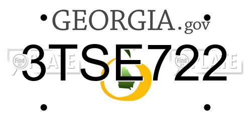3TSE722 Georgia License Plate