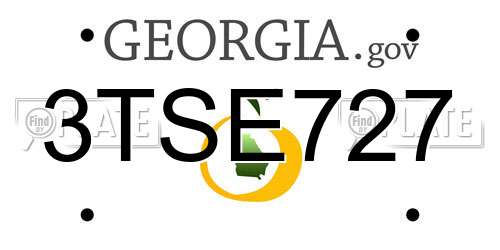 3TSE727 Georgia License Plate