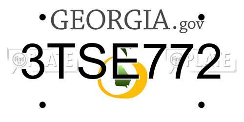 3TSE772 Georgia License Plate