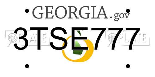3TSE777 Georgia License Plate