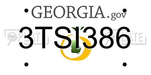 3TSI386 Georgia License Plate