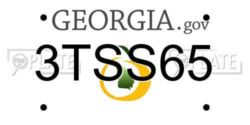 3TSS65 Georgia License Plate