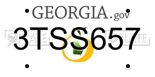 3TSS657 Georgia License Plate