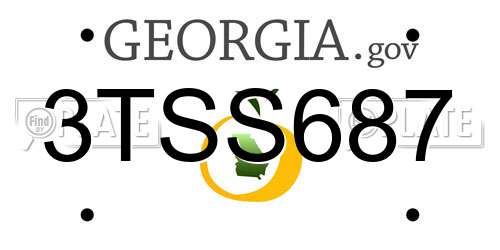 3TSS687 Georgia License Plate