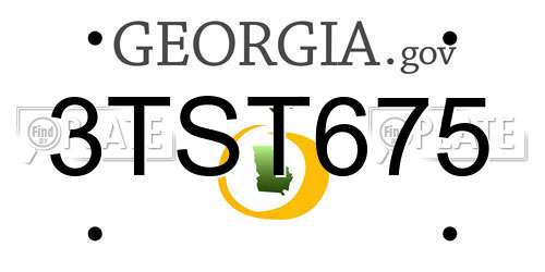 3TST675 Georgia License Plate
