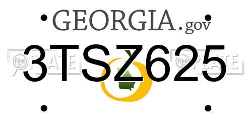 3TSZ625 Georgia License Plate