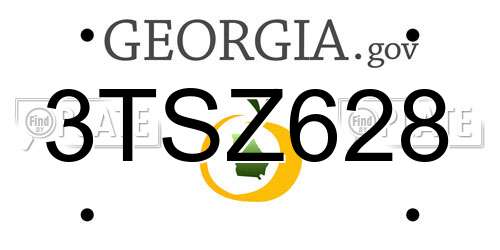 3TSZ628 Georgia License Plate