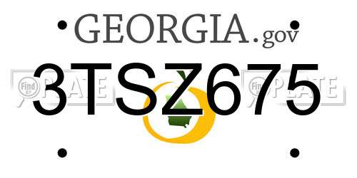 3TSZ675 Georgia License Plate