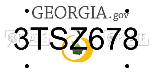 3TSZ678 Georgia License Plate
