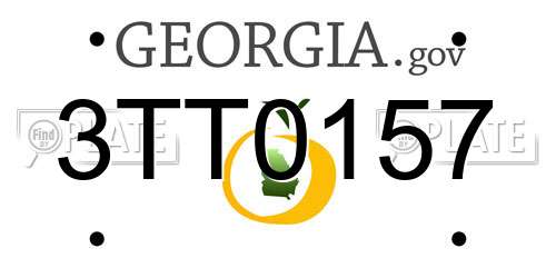 3TT0157 Georgia License Plate