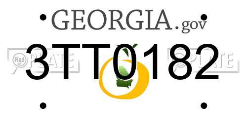3TT0182 Georgia License Plate