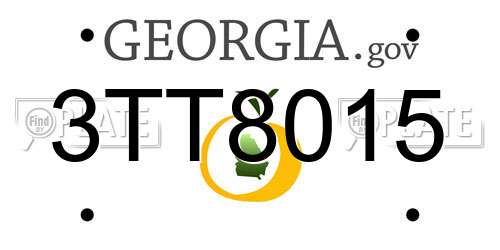 3TT8015 Georgia License Plate