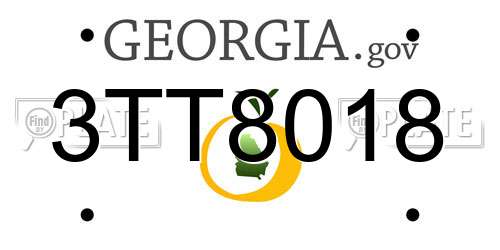 3TT8018 Georgia License Plate