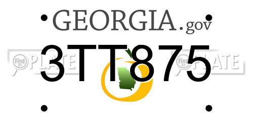 3TT875 Georgia License Plate