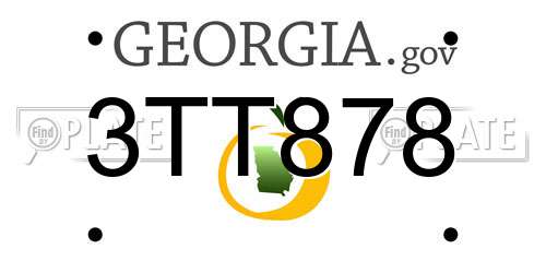 3TT878 Georgia License Plate
