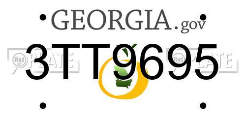 3TT9695 Georgia License Plate