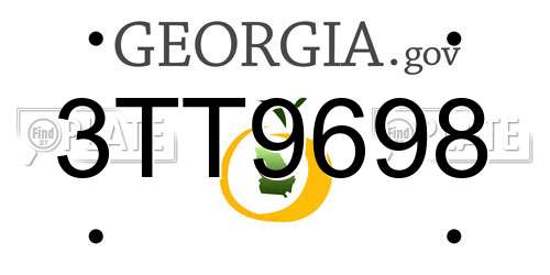 3TT9698 Georgia License Plate
