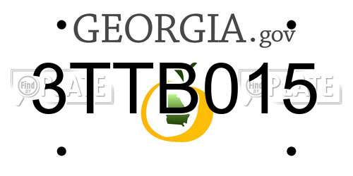 3TTB015 Georgia License Plate