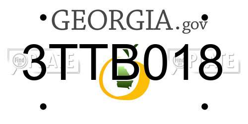 3TTB018 Georgia License Plate