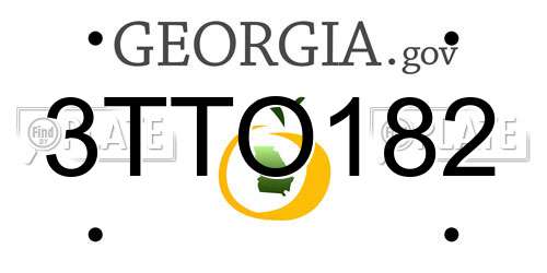 3TTO182 Georgia License Plate