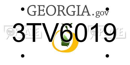 3TV6019 Georgia License Plate