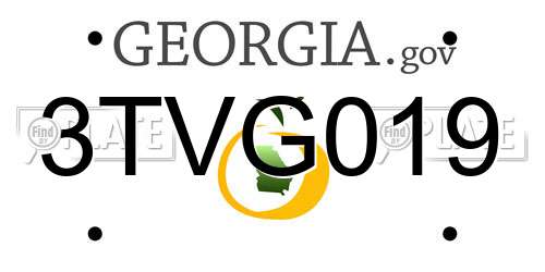 3TVG019 Georgia License Plate