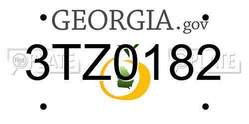 3TZ0182 Georgia License Plate