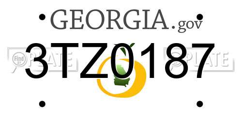 3TZ0187 Georgia License Plate