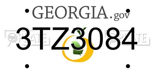 3TZ3084 Georgia License Plate
