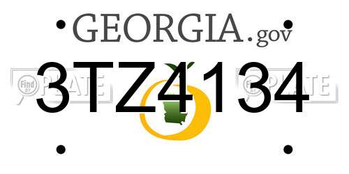 3TZ4134 Georgia License Plate