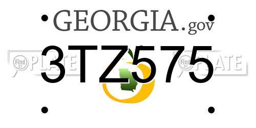 3TZ575 Georgia License Plate