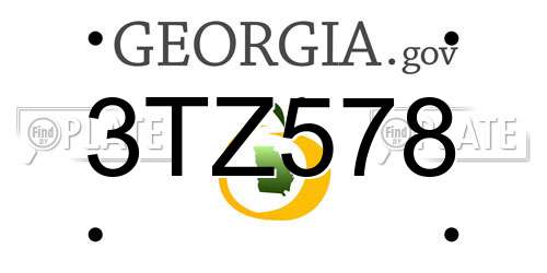 3TZ578 Georgia License Plate