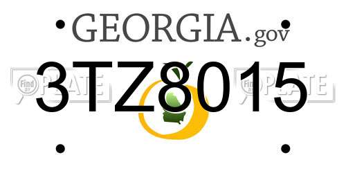 3TZ8015 Georgia License Plate