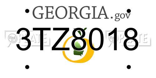 3TZ8018 Georgia License Plate