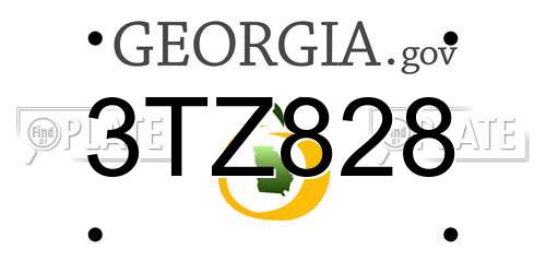 3TZ828 Georgia License Plate
