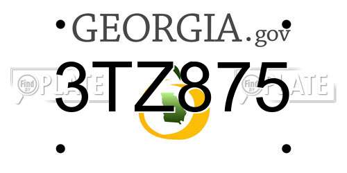 3TZ875 Georgia License Plate