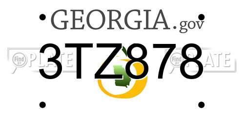 3TZ878 Georgia License Plate