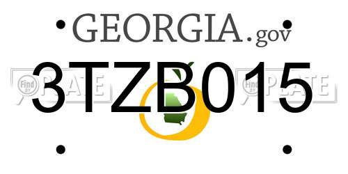 3TZB015 Georgia License Plate