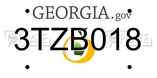 3TZB018 Georgia License Plate