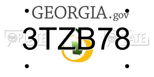 3TZB78 Georgia License Plate