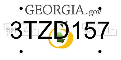 3TZD157 Georgia License Plate