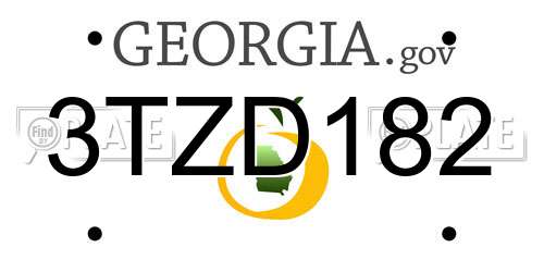 3TZD182 Georgia License Plate