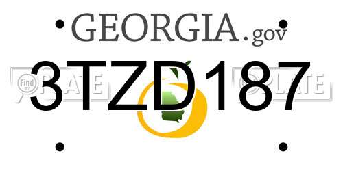 3TZD187 Georgia License Plate