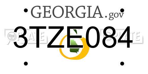 3TZE084 Georgia License Plate