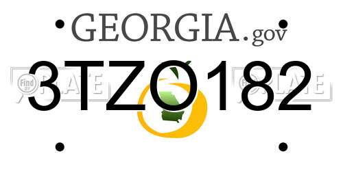 3TZO182 Georgia License Plate