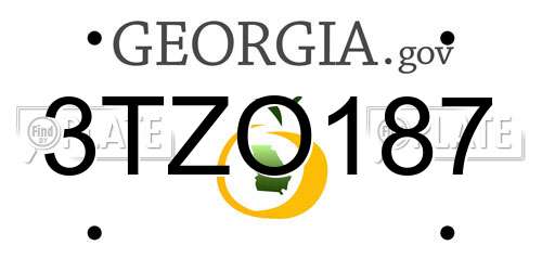 3TZO187 Georgia License Plate